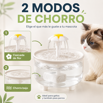 Fuente Bebedero para gatos iCats®