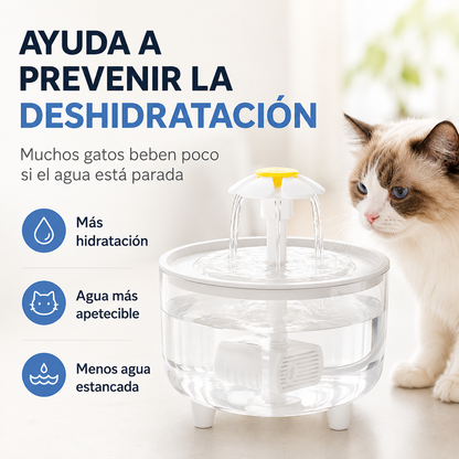 Fuente Bebedero para gatos iCats®